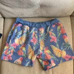 Chubbies Blue and White Fleece Shorts